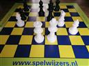 Schaakstukken groot en Schaak spelzeil 3m bij 3m