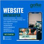 Betaalbare Divi Theme Website vanaf €149,99