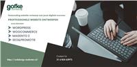 Goedkope WordPress Website Laten Maken €149