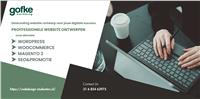 WordPress Website Zonder Gedoe – €350 Vast Tarief