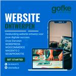 Betaalbare en Professionele WordPress Website