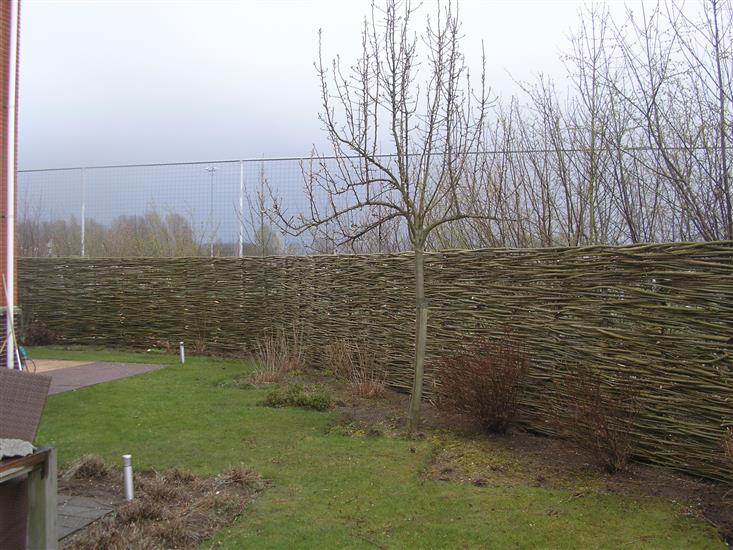 Grote foto wilgentenenschuttingen wilgenschutting diensten en vakmensen tuinmannen en stratenmakers