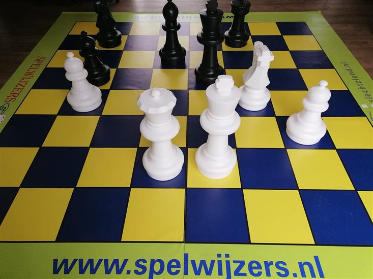 Grote foto schaakstukken groot en schaak spelzeil 3m bij 3m diversen overige diversen