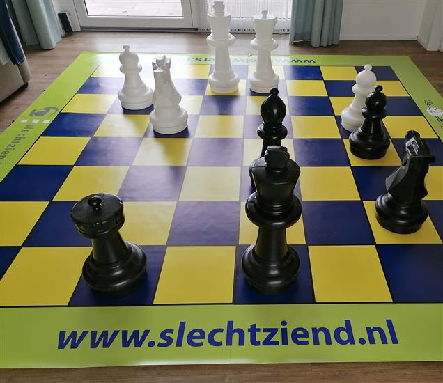 Grote foto schaakstukken groot en schaak spelzeil 3m bij 3m diversen overige diversen