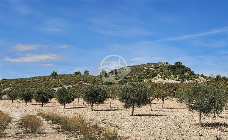 Grote foto ruime spaanse luxe villa op 10 000m huizen en kamers nieuw europa