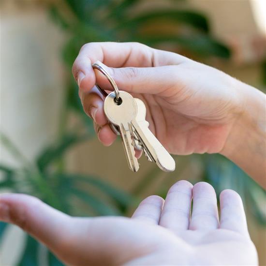 Grote foto huur moeiteloos jouw perfecte woonruimte huizen en kamers appartementen en flats