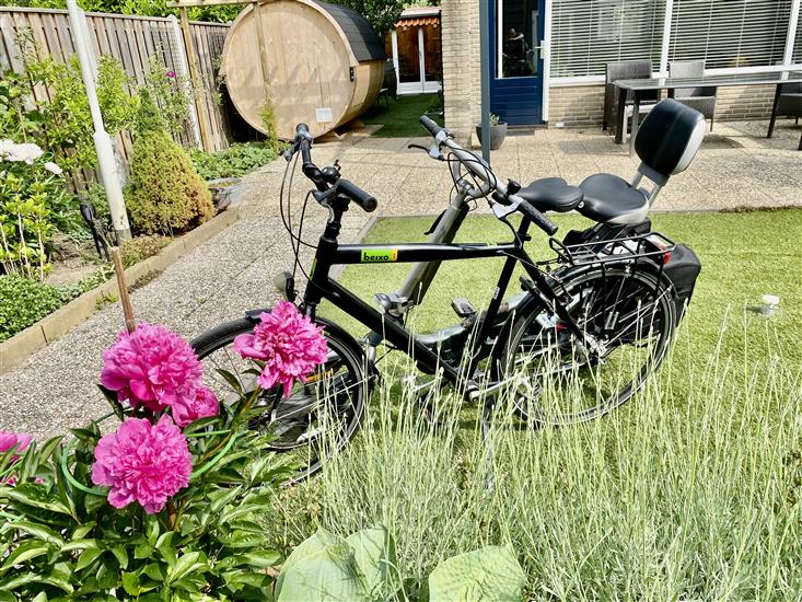 Grote foto set fietsen giant revive lx beixo met cardan fietsen en brommers ligfietsen