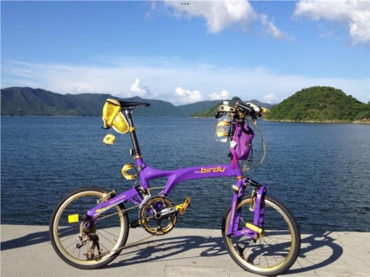 Grote foto brompton riese birdy m ller vouwfietsen gezocht fietsen en brommers vouwfietsen