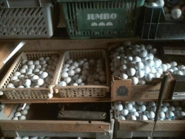 Grote foto te koop golf ballen sport en fitness golf
